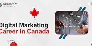 Digital Marketing Coordinator Jobs in Canada 2024-2025 – Apply Here!