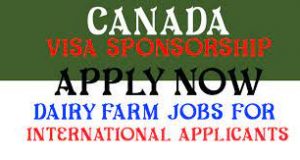 Sales Man Jobs in Canada with Visa Sponsorship 2024/2025