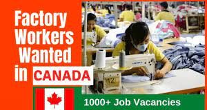 Apply-Tailor Jobs in Canada with 2024/2025